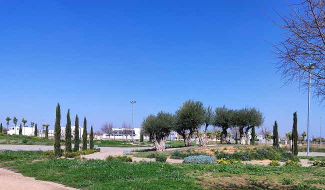 Nybyggnation - Lägenhet - Torre Pacheco - Centro