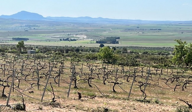 New Build - Villa - Yecla