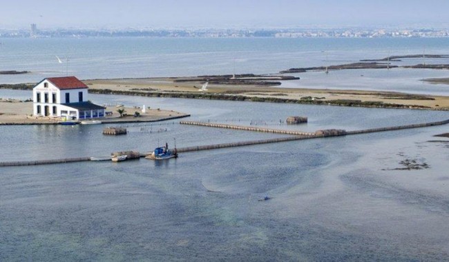 Nybyggnation - Villa - San Pedro del Pinatar - Las esperanzas