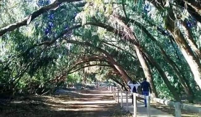 Nueva construcción  - Adosado - Torrevieja - Altos del Sol