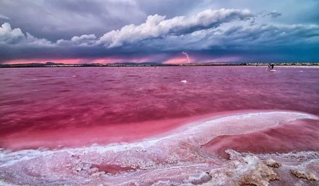 Nueva construcción  - Adosado - Torrevieja - Altos del Sol