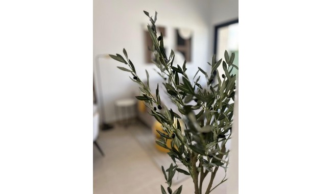 Nueva construcción  - Adosado - San Fulgencio - Pueblo