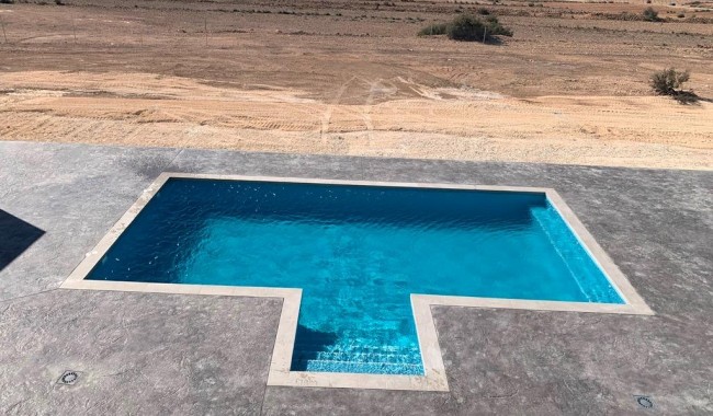 Nueva construcción  - Villa - Pinoso - Camino Del Prado