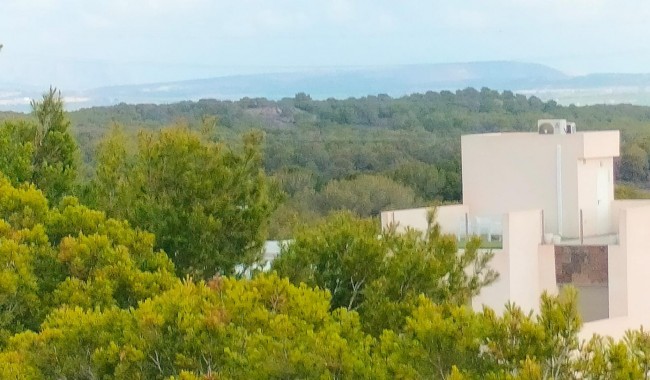 Nybyggnation - Radhus - Orihuela - PAU 26