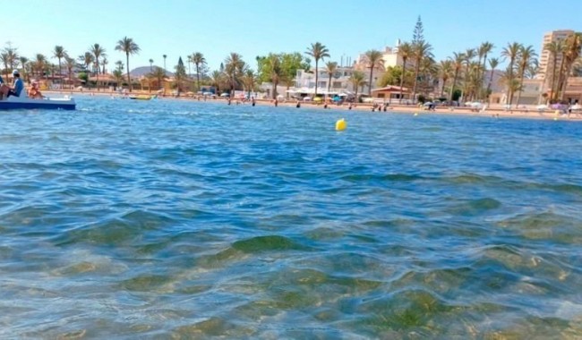 Nybyggnation - Villa - Torre Pacheco - Roldán