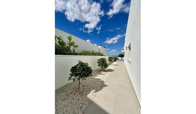 New Build - Villa - Benijófar - Pueblo