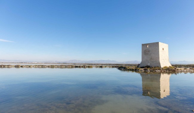 Nybyggnation - Lägenhet - Santa Pola - Estacion de autobuses