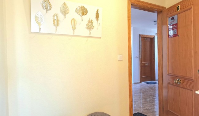 Segunda mano - Apartamento - Torrevieja