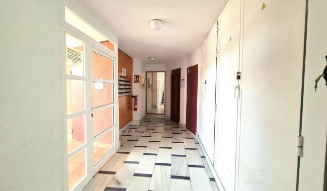 Segunda mano - Apartamento - Torrevieja