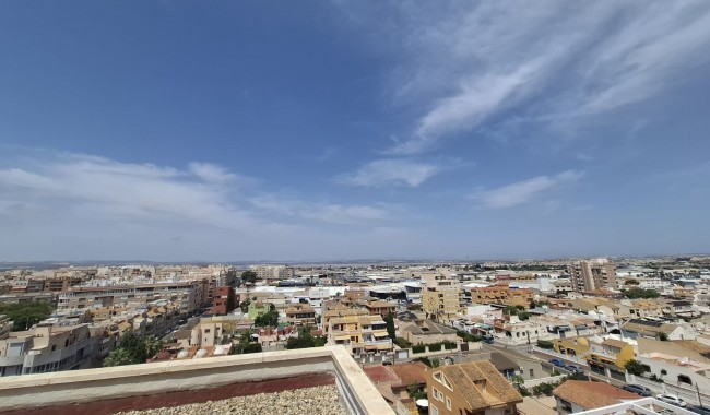 Segunda mano - Apartamento - Torrevieja