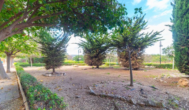 Segunda mano - Apartamento - Torrevieja - Playa de los Naufragos