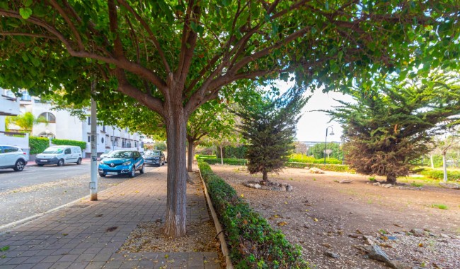 Segunda mano - Apartamento - Torrevieja - Playa de los Naufragos