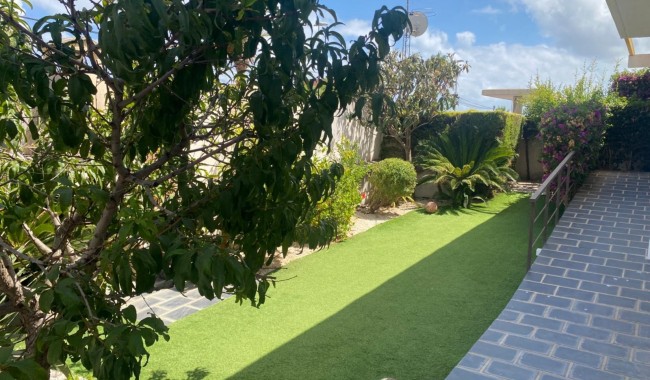 Segunda mano - Adosado - Orihuela - Mil Palmeras