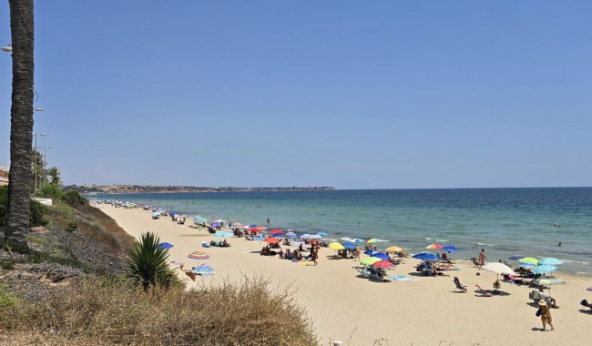 Segunda mano - Adosado - Orihuela - Mil Palmeras