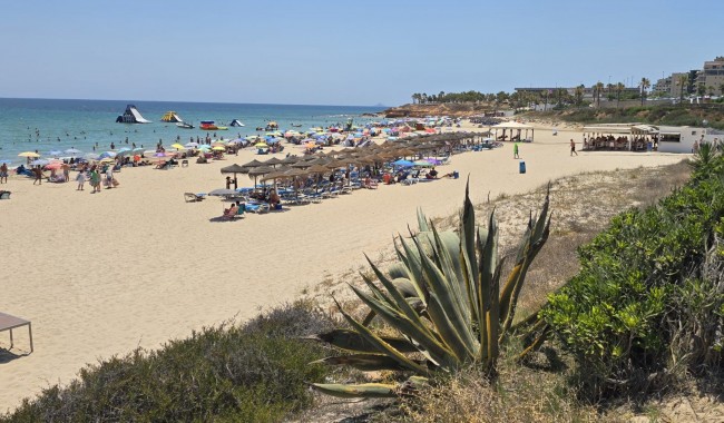 Segunda mano - Adosado - Orihuela - Mil Palmeras