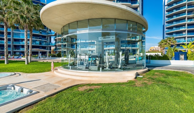 Segunda mano - Apartamento - Torrevieja - Punta Prima