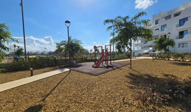 Begagnad - Lägenhet - Torre Pacheco - Santa Rosalía