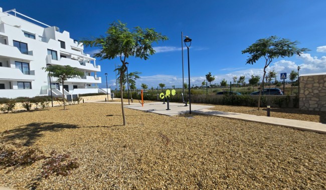 Begagnad - Lägenhet - Torre Pacheco - Santa Rosalía