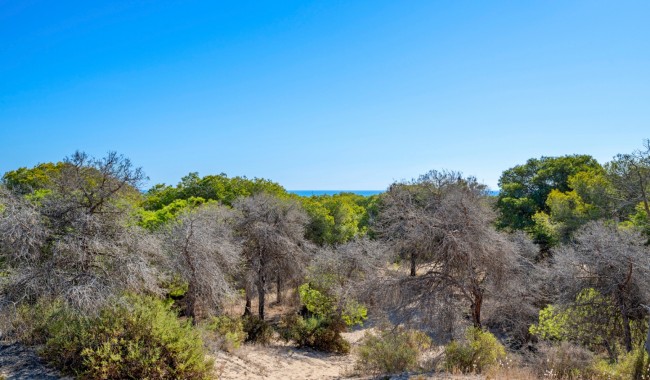 Sprzedaż - Apartament - Guardamar