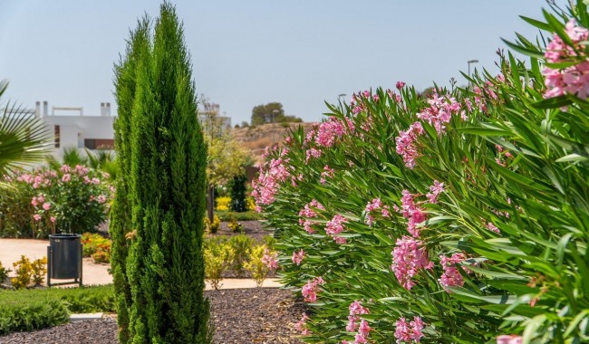 Nowa konstrukcja - Kamienica - Orihuela - Orihuela costa