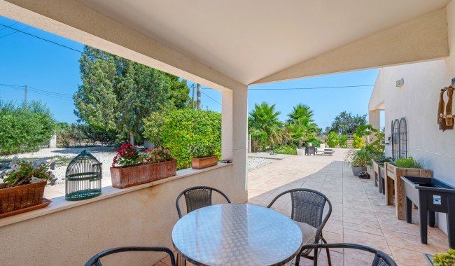 Begagnad - Finca - Elche - Elche/Elx