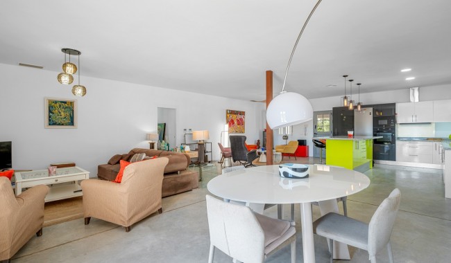 Begagnad - Finca - Elche - Elche/Elx