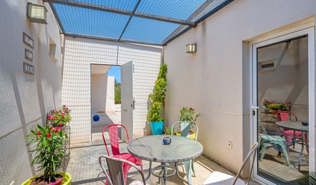 Begagnad - Finca - Elche - Elche/Elx