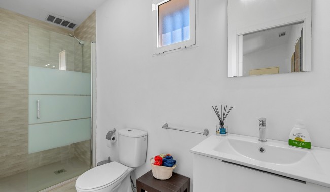 Begagnad - Finca - Elche - Elche/Elx