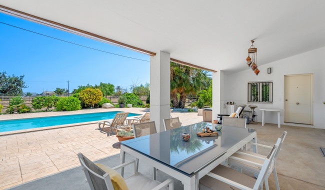 Begagnad - Finca - Elche - Elche/Elx