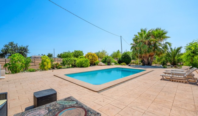 Begagnad - Finca - Elche - Elche/Elx