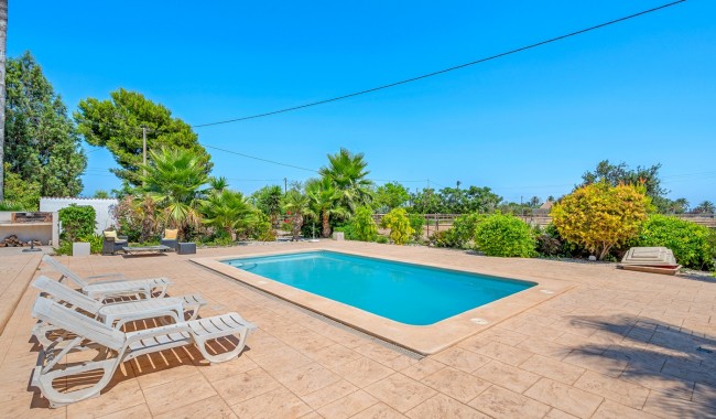 Begagnad - Finca - Elche - Elche/Elx