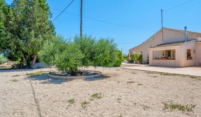 Begagnad - Finca - Elche - Elche/Elx