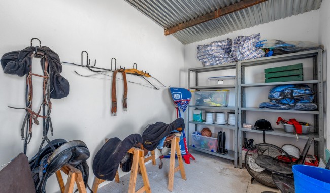 Begagnad - Finca - Elche - Elche/Elx