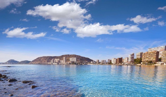 Nybyggnation - Villa - Els Poblets - Partida Barranquets