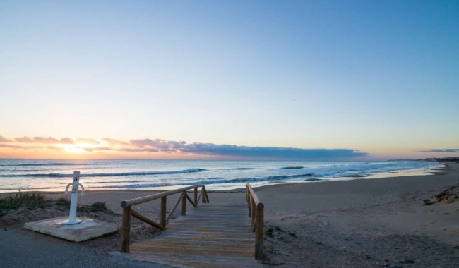 Nybyggnation - Lägenhet - Guardamar - Guardamar del Segura