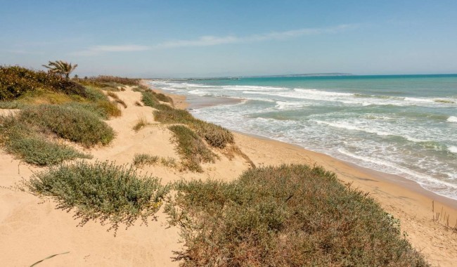 Nybyggnation - Lägenhet - Guardamar - Guardamar del Segura