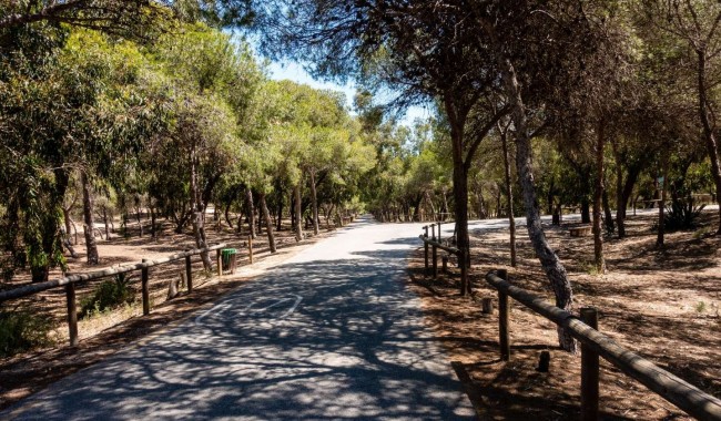 Nybyggnation - Lägenhet - Guardamar - Guardamar del Segura