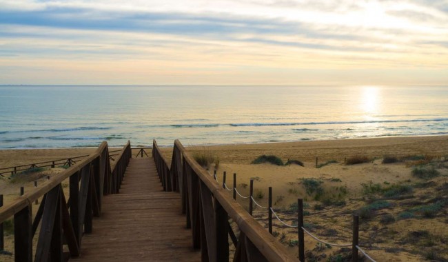 Nybyggnation - Lägenhet - Guardamar - Guardamar del Segura