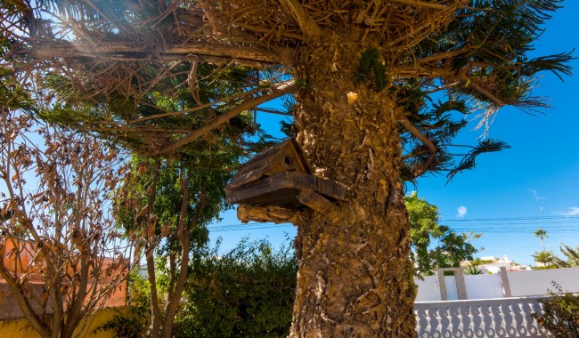 Begagnad - Villa - Torrevieja - La Siesta