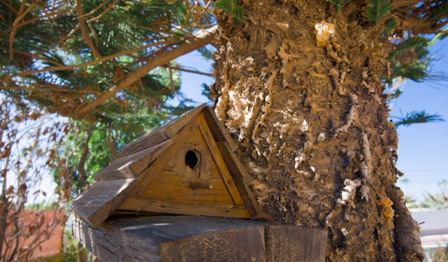 Begagnad - Villa - Torrevieja - La Siesta