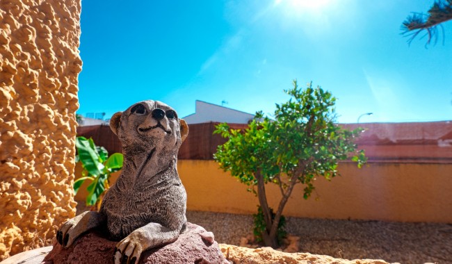 Begagnad - Villa - Torrevieja - La Siesta