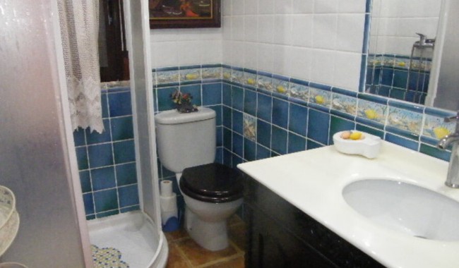 Segunda mano - Adosado - Daya Nueva