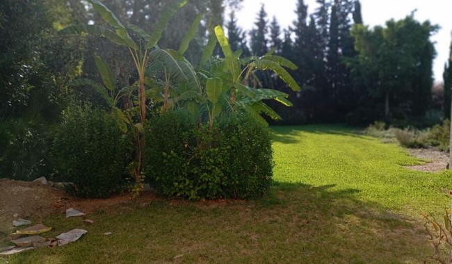 Begagnad - Villa - Daya Nueva