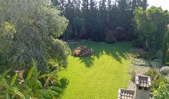 Begagnad - Villa - Daya Nueva