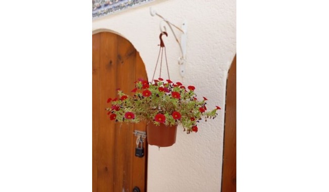 Begagnad - Villa - Orihuela - Villamartín