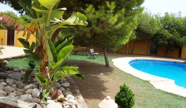 Resale - Finca - Ciudad Quesada/Rojales - Lo Pepin