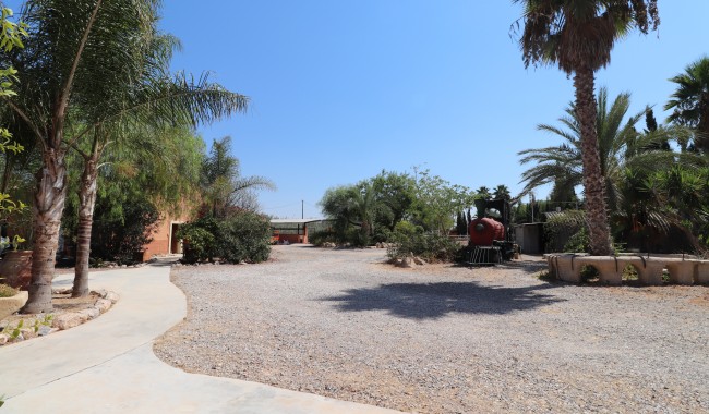 Resale - Finca - Catral - Catral - Country