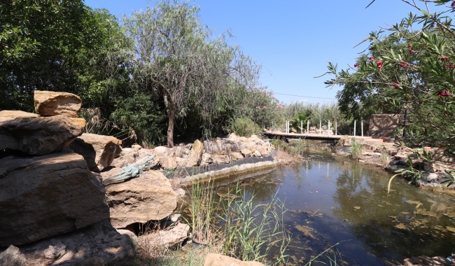 Resale - Finca - Catral - Catral - Country