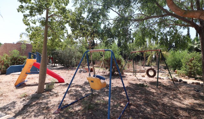 Resale - Finca - Catral - Catral - Country