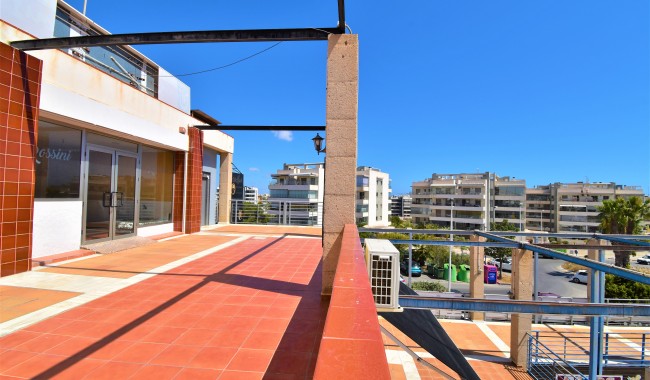 Sprzedaż - Lokal biznesowy - Orihuela - Los Dolses